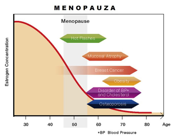 Menopauza