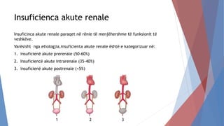 Insufiçienca Renale Akute (IRA)