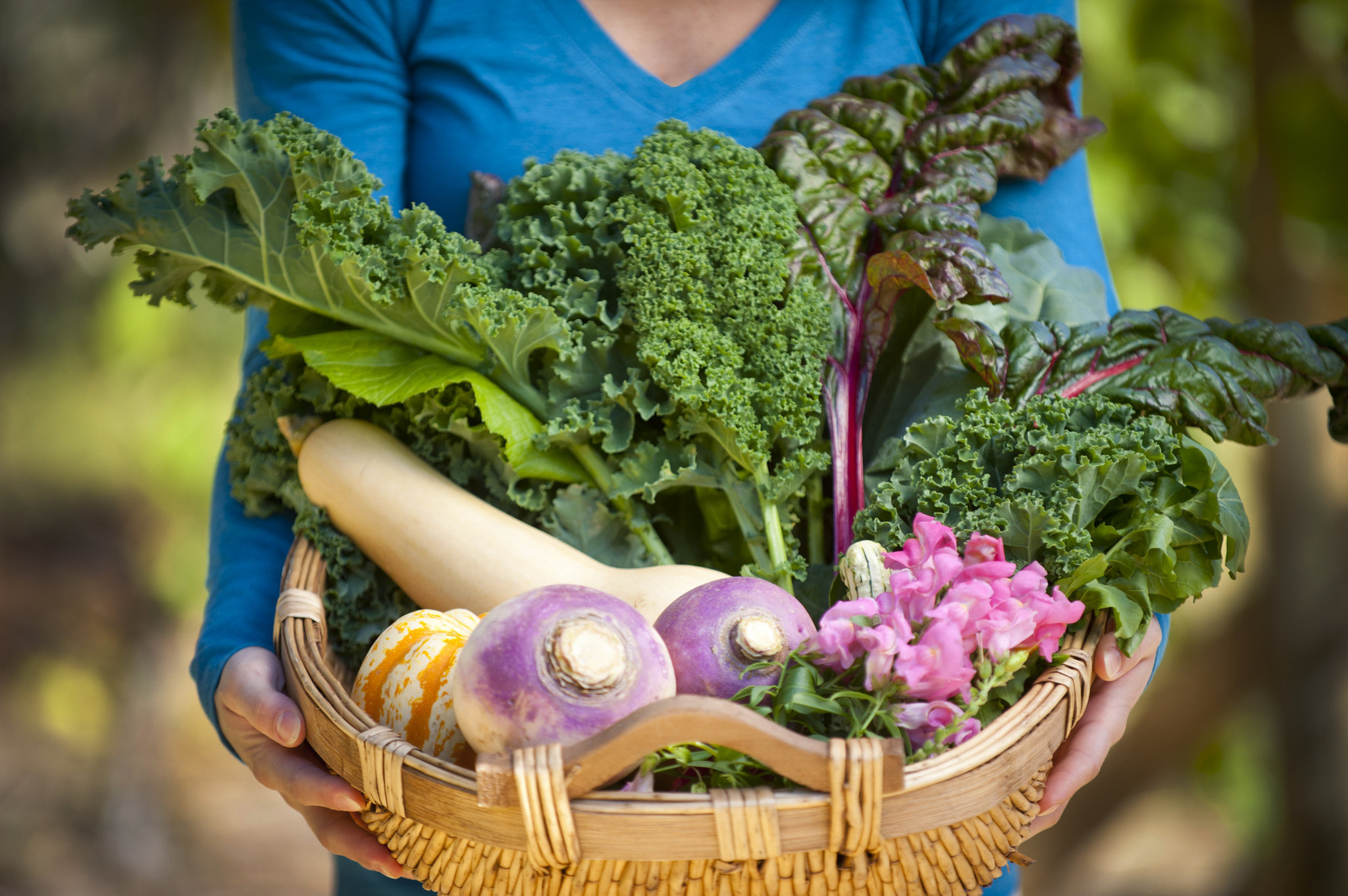 Mitet Mjekësore: Dietat Vegjetariane Dhe Vegane