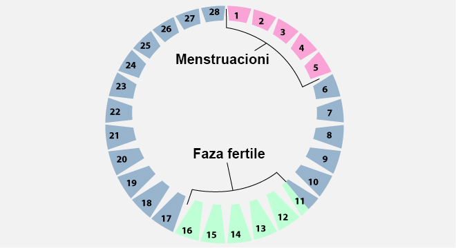 Çrregullimet E Ciklit Menstrual (Çrregullimet E Menstruacioneve)