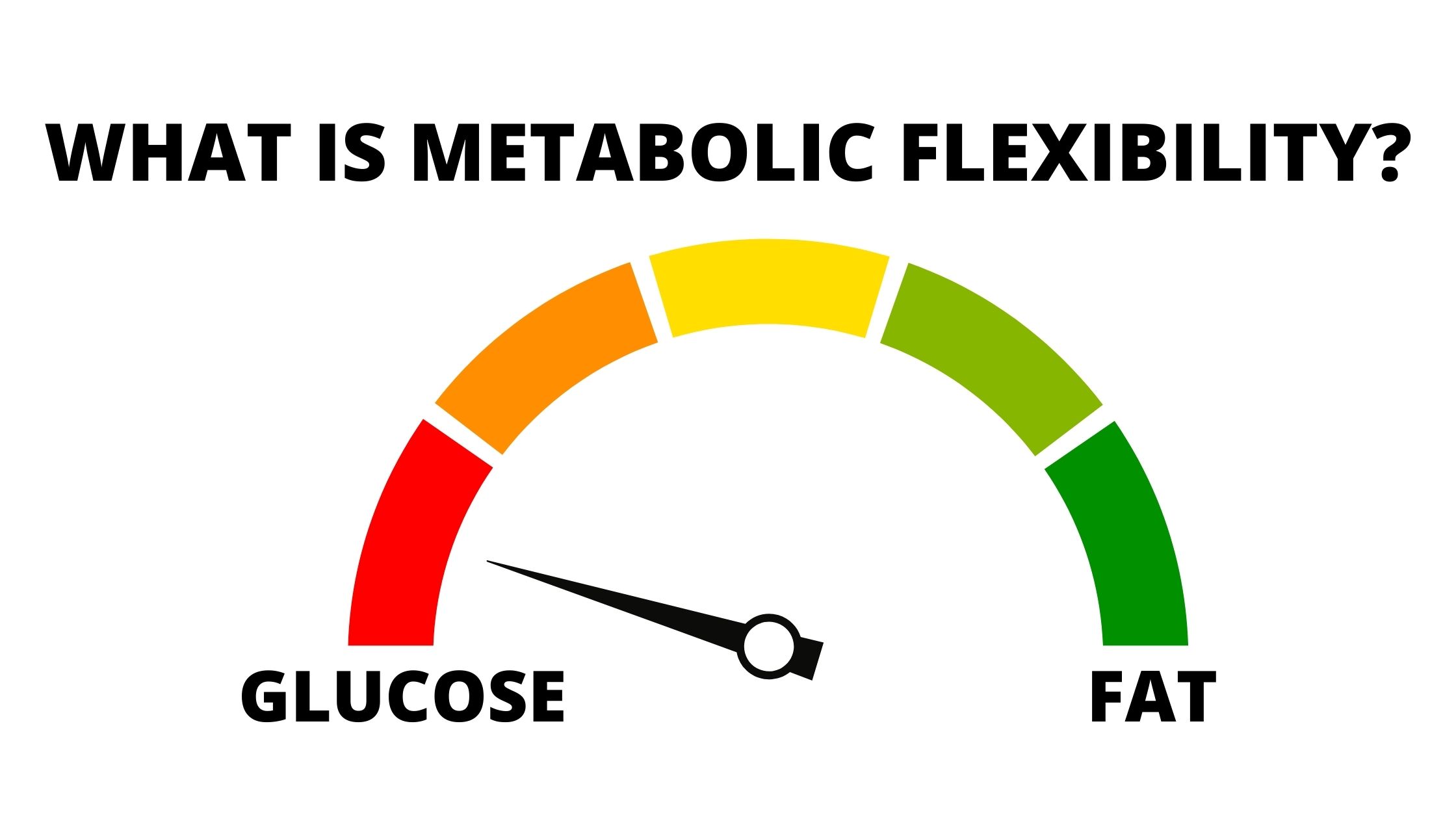 Si Të Përmirësoni Fleksibilitetin Metabolik Për Djegie Më Të Mirë Të Yndyrnave